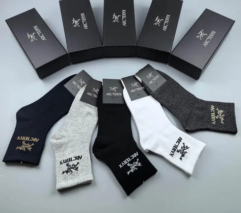 Arcteryx socks 042003